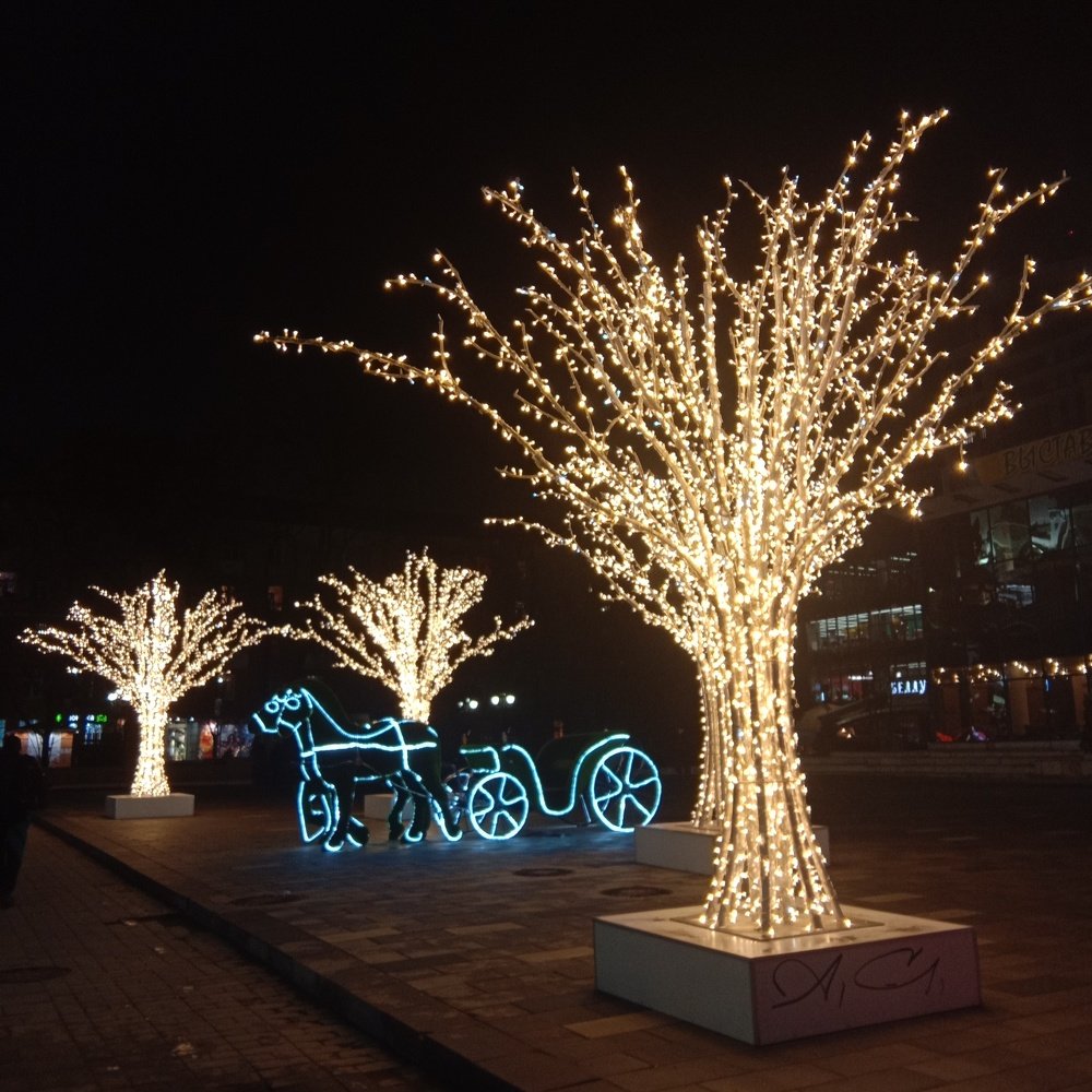 Photo #4448390