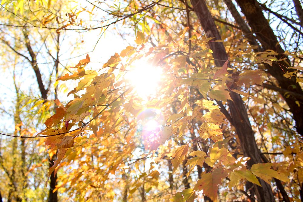 Photograph by Марина Крупица