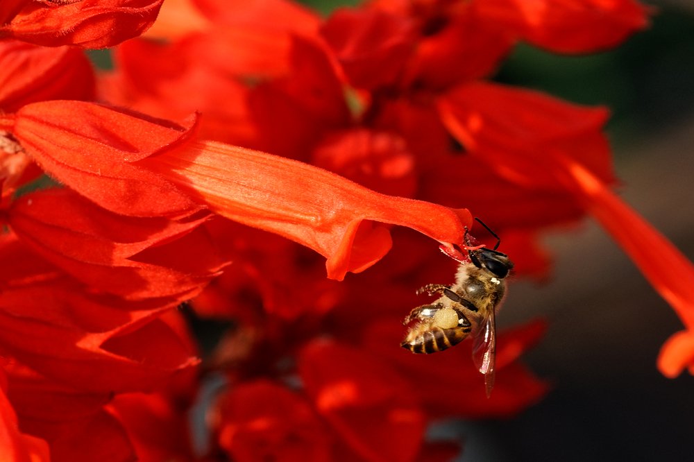 Photograph by Mahmudul Hasan