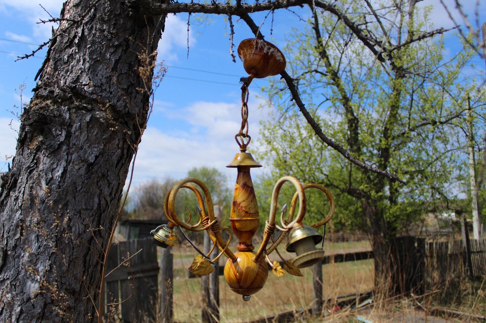 Photograph by Марина Крупица