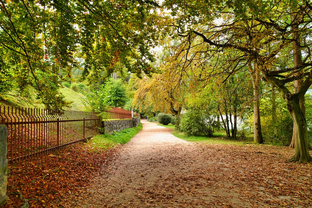 Photograph by Владимир Бутов