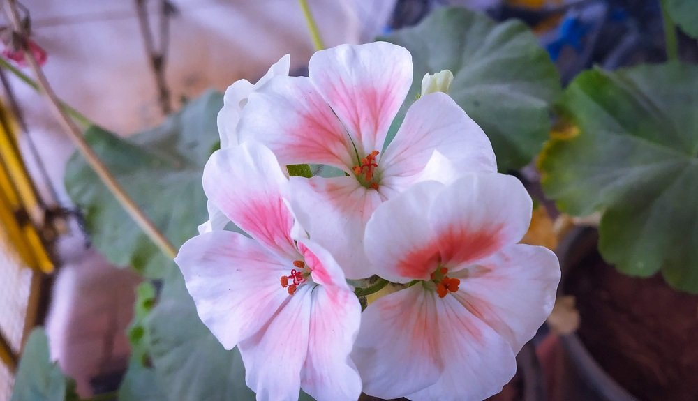 Photograph by Amarnath DKM