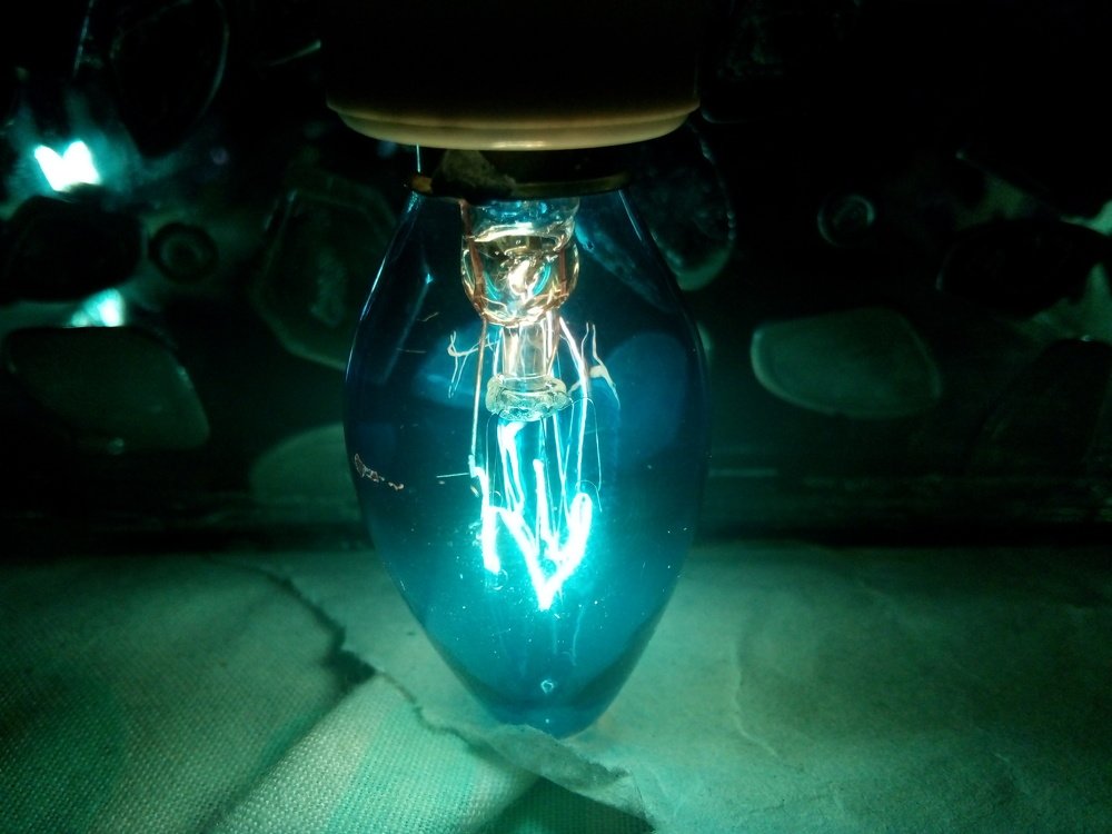 Sace Bulb
