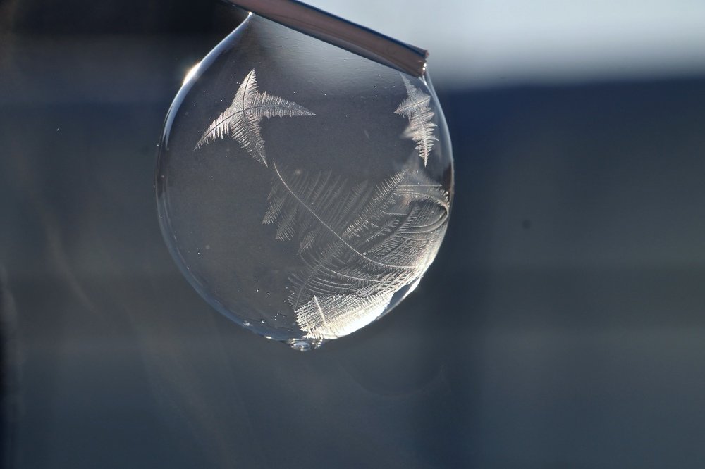 Photograph by Леунина Людмила