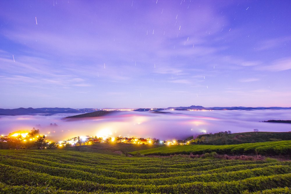 Photograph by Thinh Pham