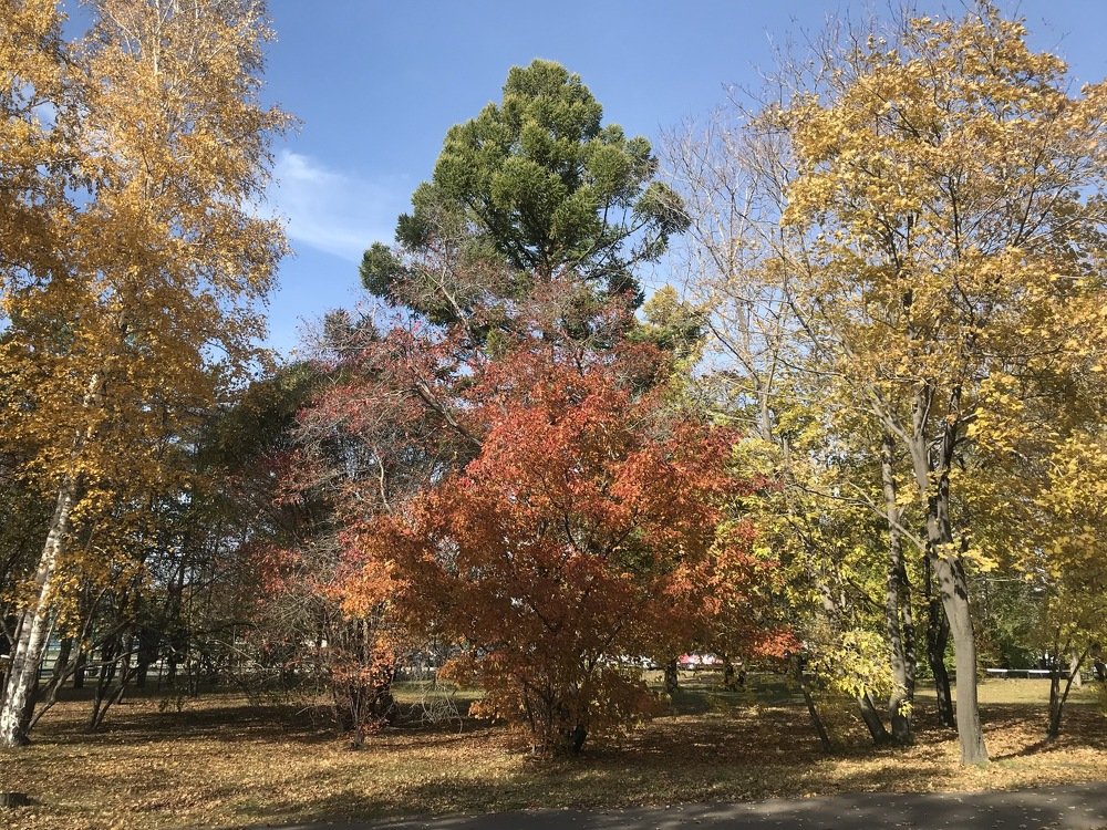 Осенняя палитра