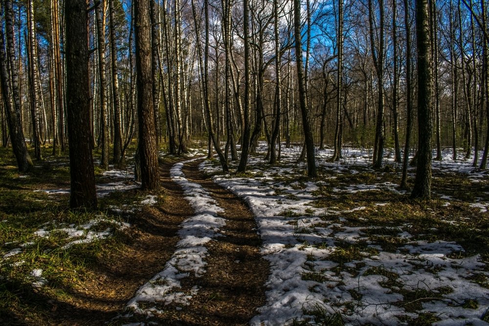 Оставшийся снег