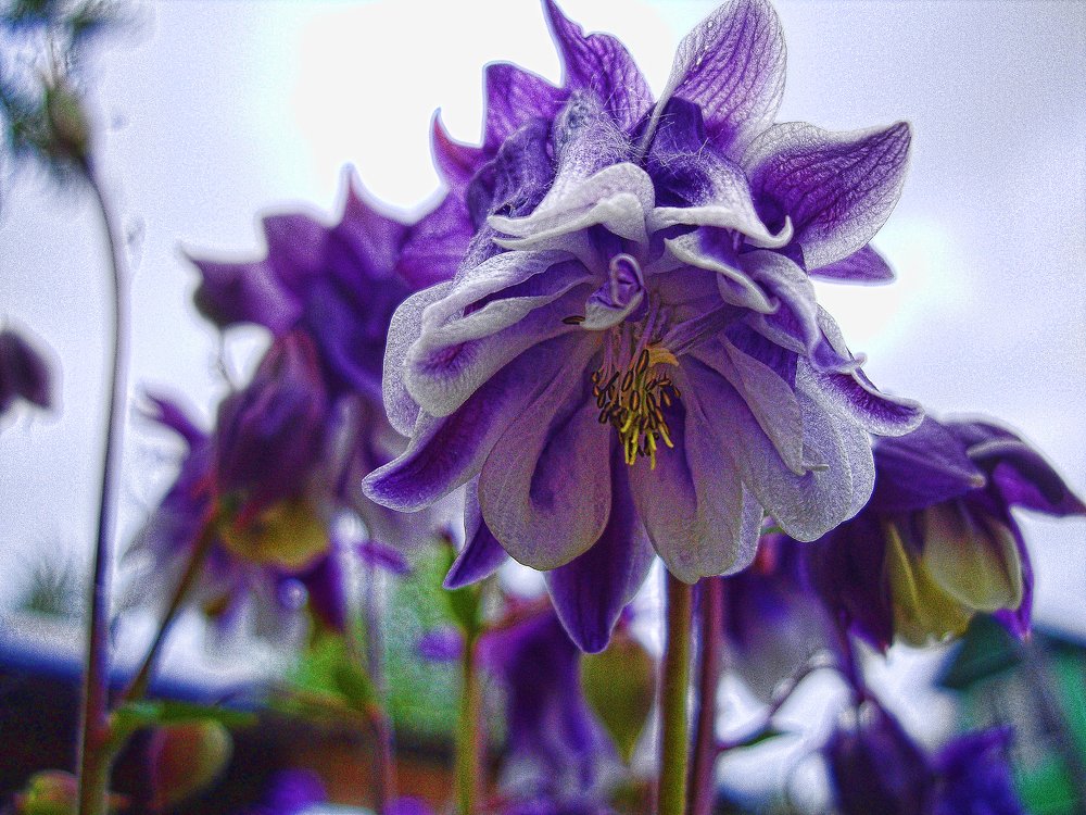 Photograph by Tatyana Semenova