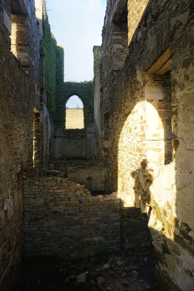 Photograph by Maria Angelica Urzua Piffaut