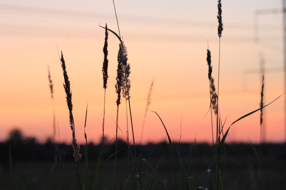 Photograph by Алина Новикова