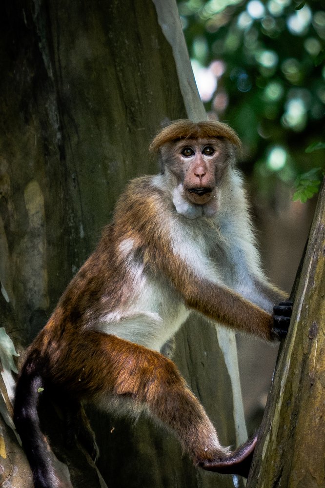 Photograph by MANSOUR ALOBAIDI