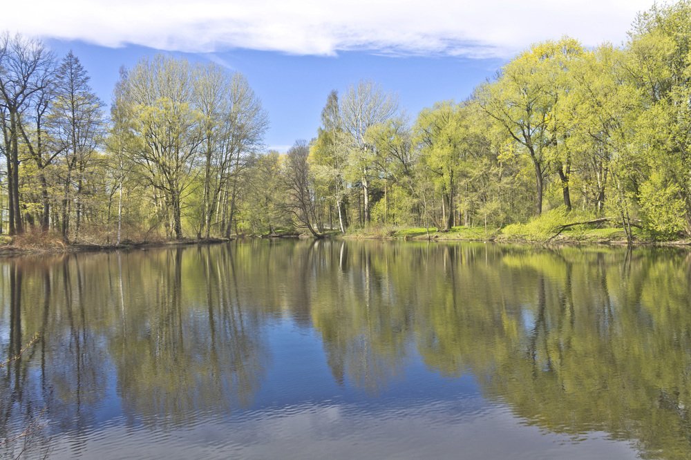 Прозрачный май.