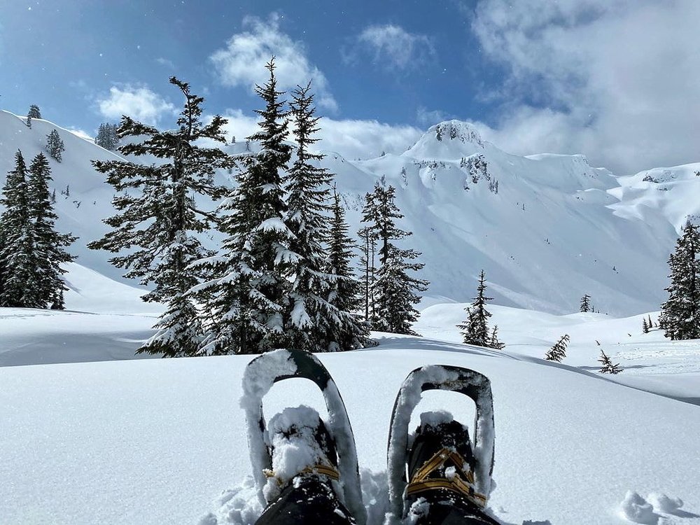 Photograph by Nikolay Gorbatenko