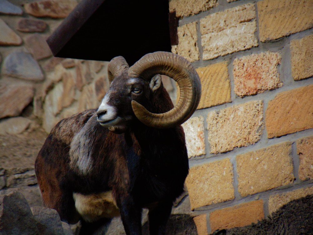 Photograph by Ольга Шевцова