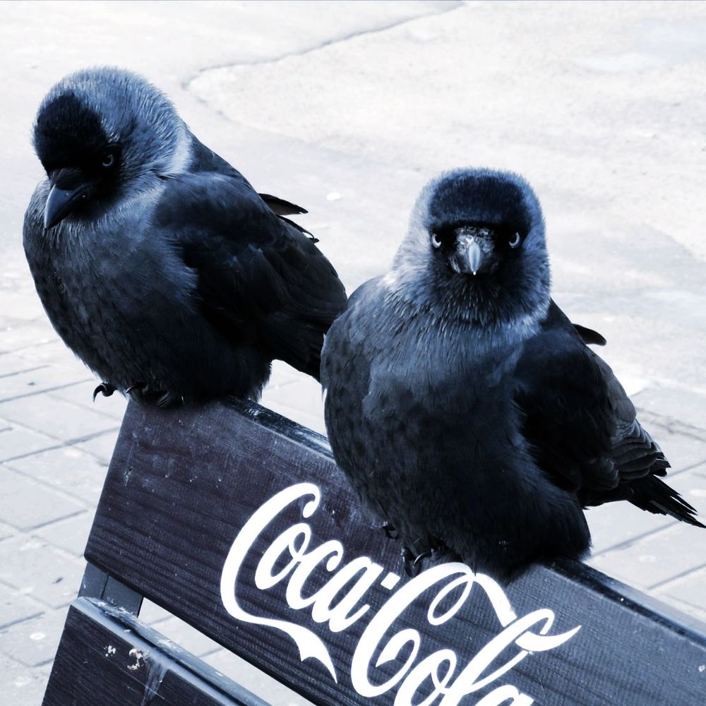 Photograph by Пчелова Наталья