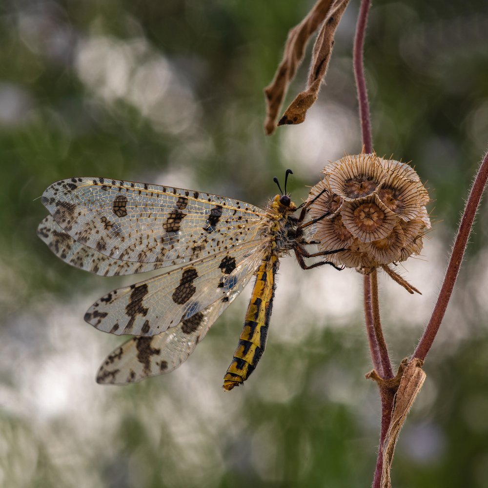 Photograph by Игорь ФУММ