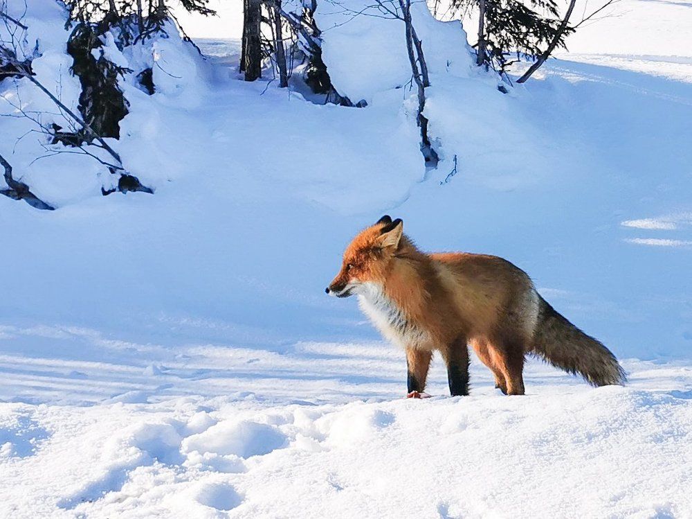 Photograph by Евгений Гусаков