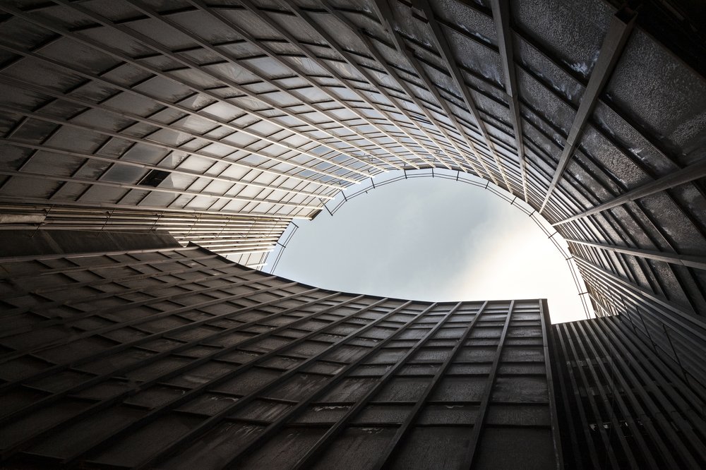 Photograph by sara shafigh