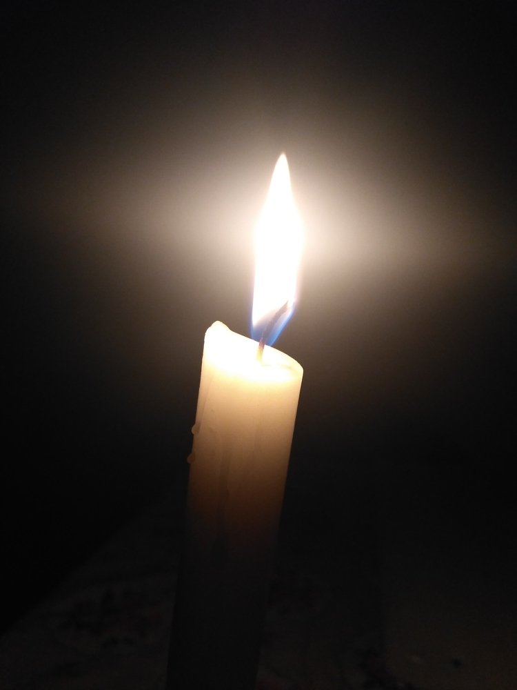 Photograph by Поддубняк Наталья