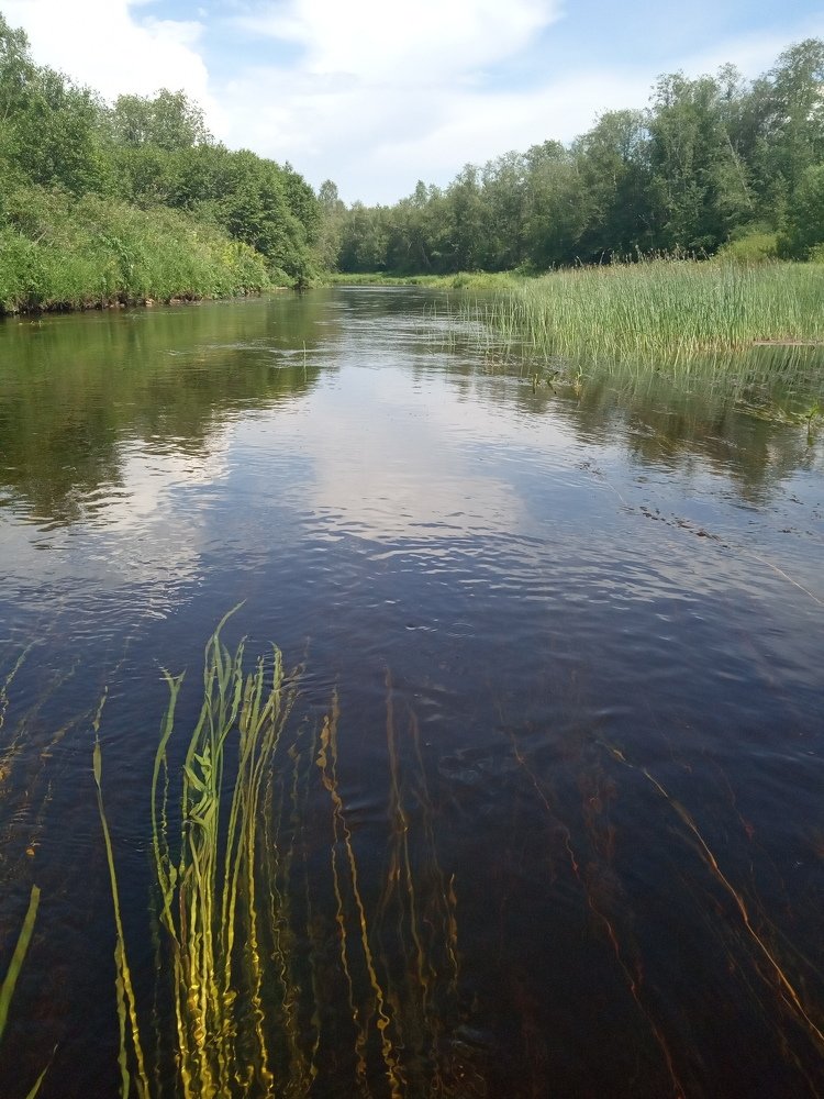 Photograph by Любовь Шаврина