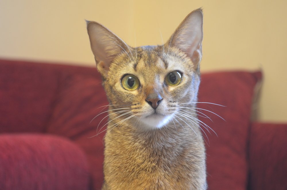 Photograph by Андрей Постников