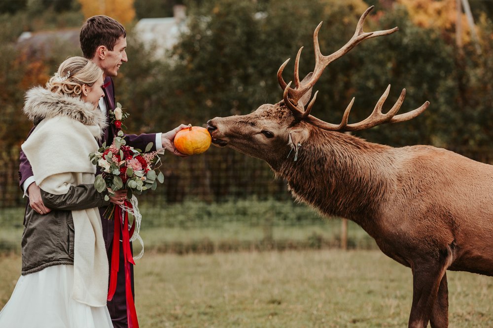 Photograph by Samanta Miglane