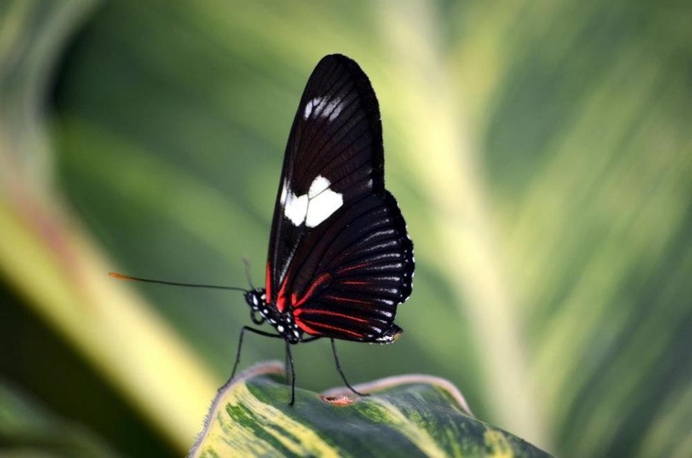 Photograph by Liliana Grup