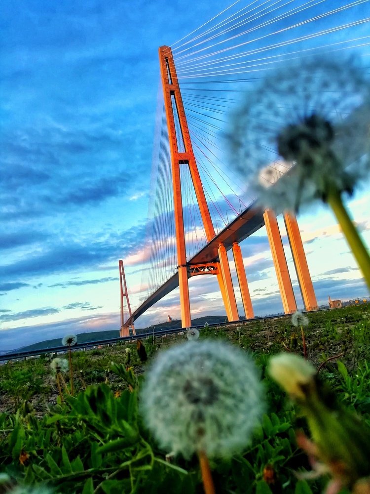 Photo #4449892