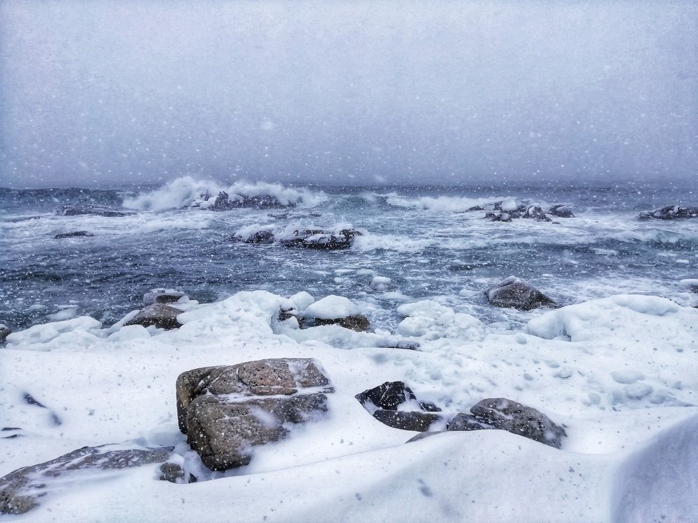 Photograph by Ирина