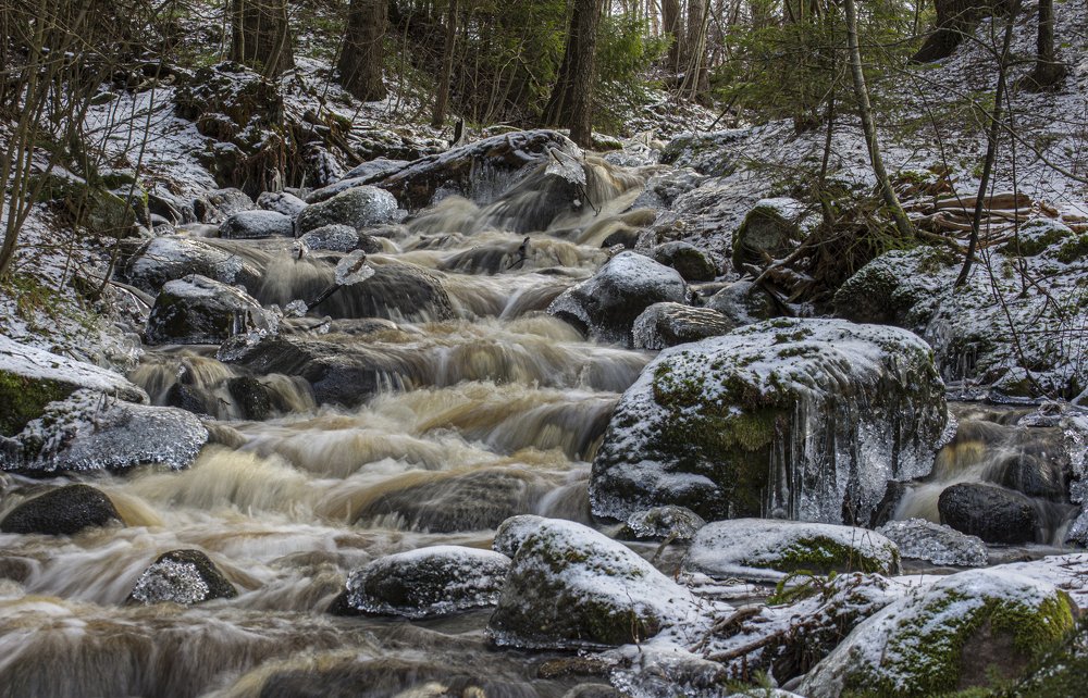 Фотография автора Татьяна Ливеровская
