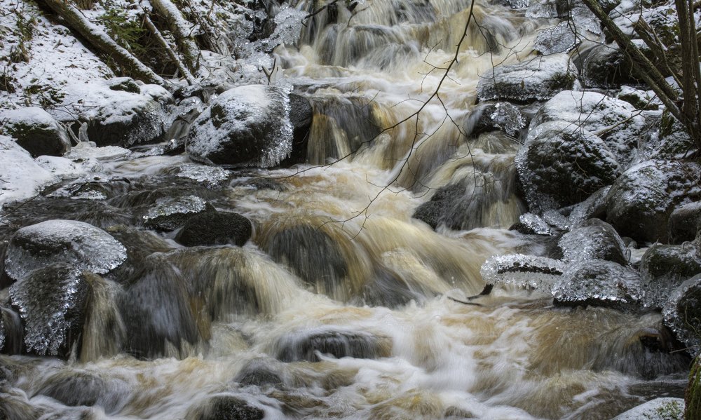 Фотография автора Татьяна Ливеровская