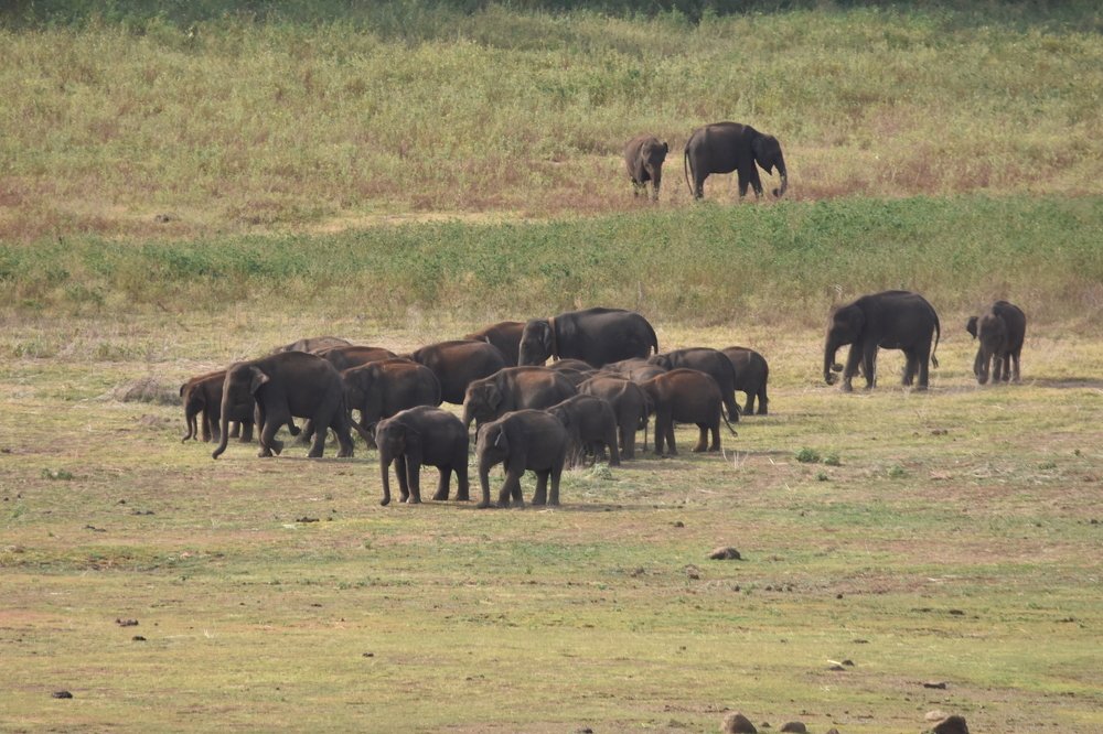 Photograph by Karuna Premalal Wanigasekara Arachchilage