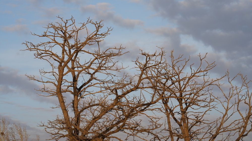 Photograph by Николай Холод