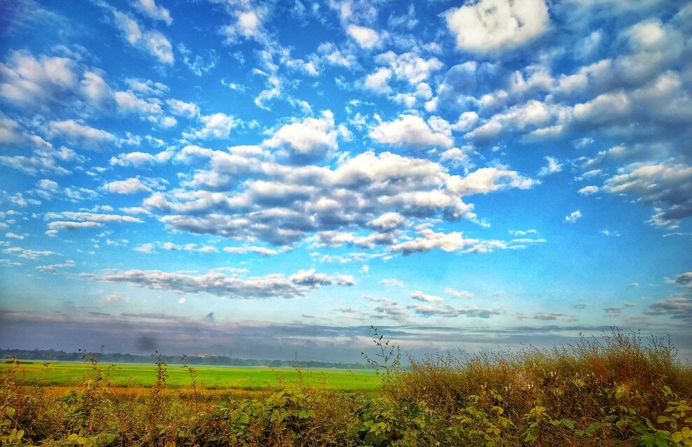 Фотография автора Ramprasad Das