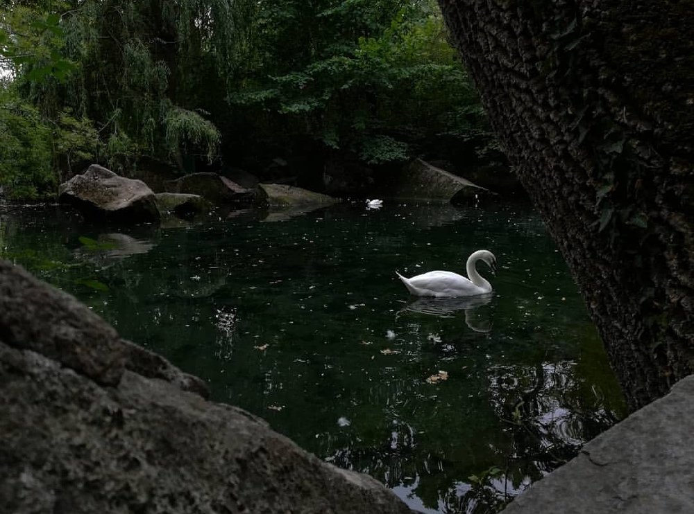 Photograph by Татьяна Решетова