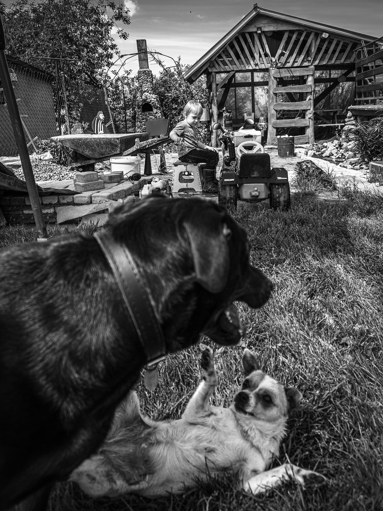 Photograph by Agnieszka Stefko-Raczyńska