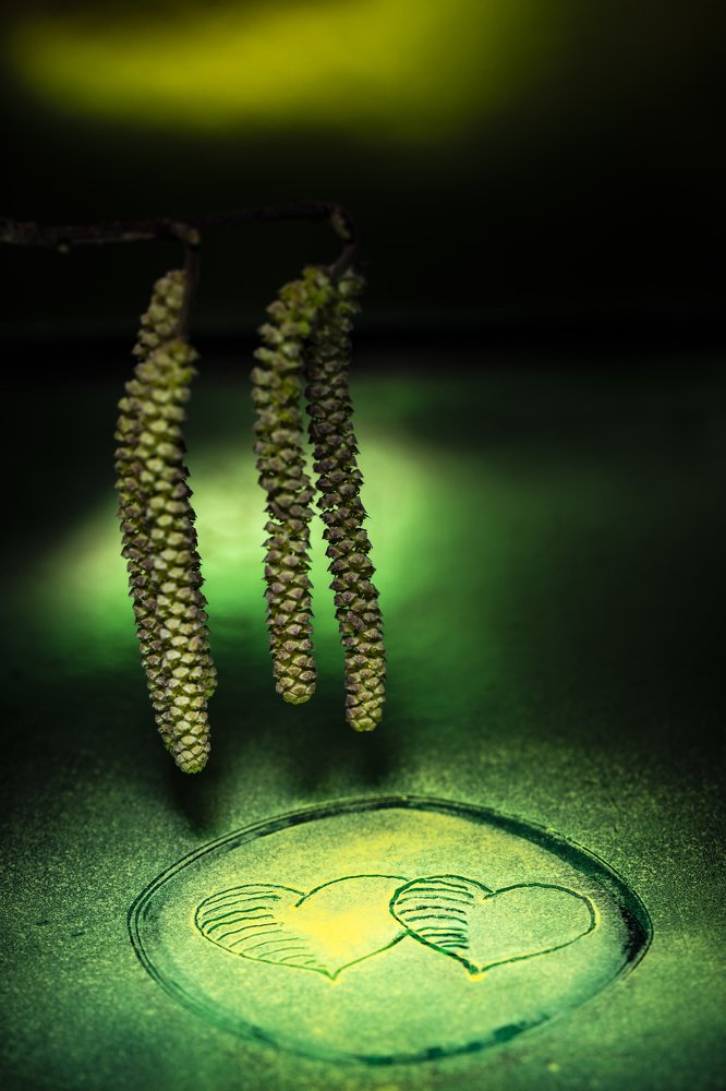 Photograph by ilvars speismanis