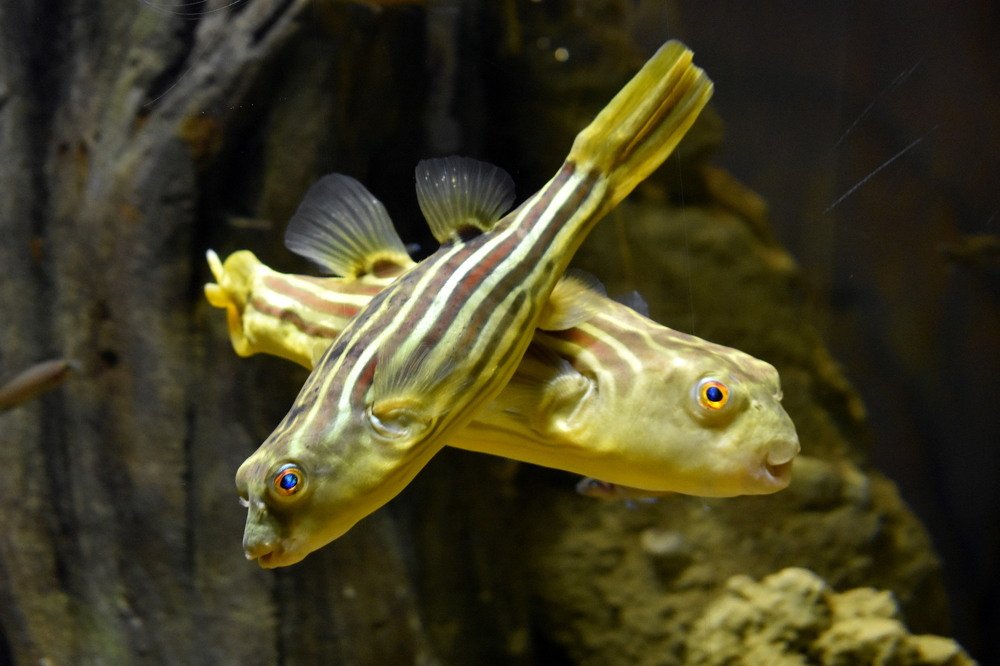 Photograph by Наталья Аржинт