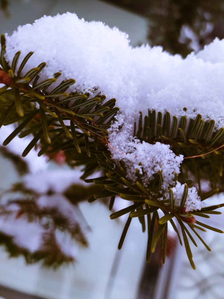 Photograph by Мариам Оганесян