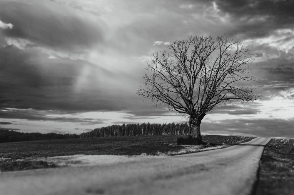 Фотография автора Sławek Wojton