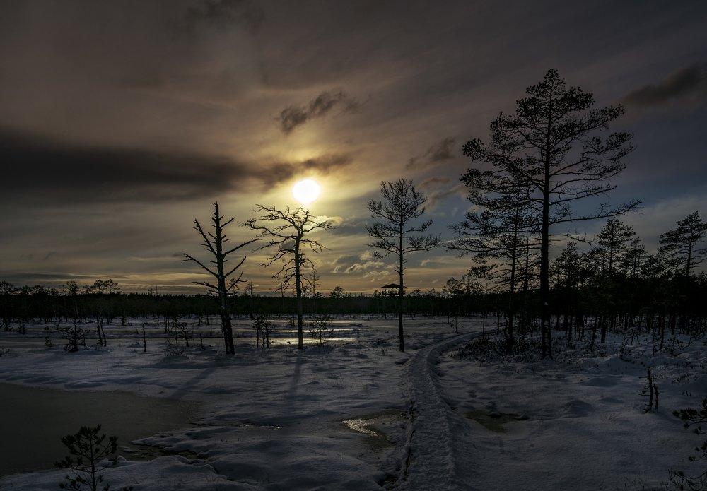 Photograph by Susanna Kari