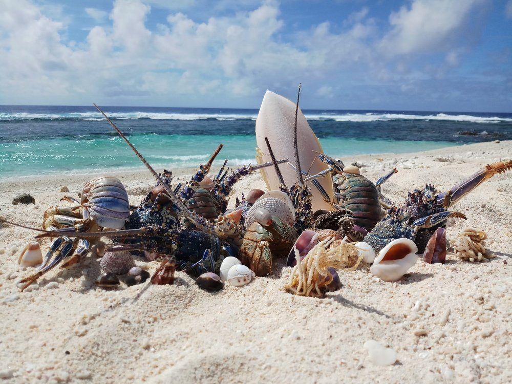 Photograph by Jeffry Yapon