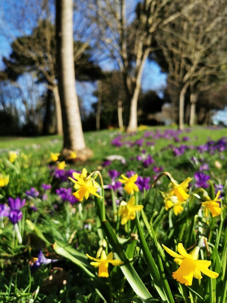 Photograph by Izabella