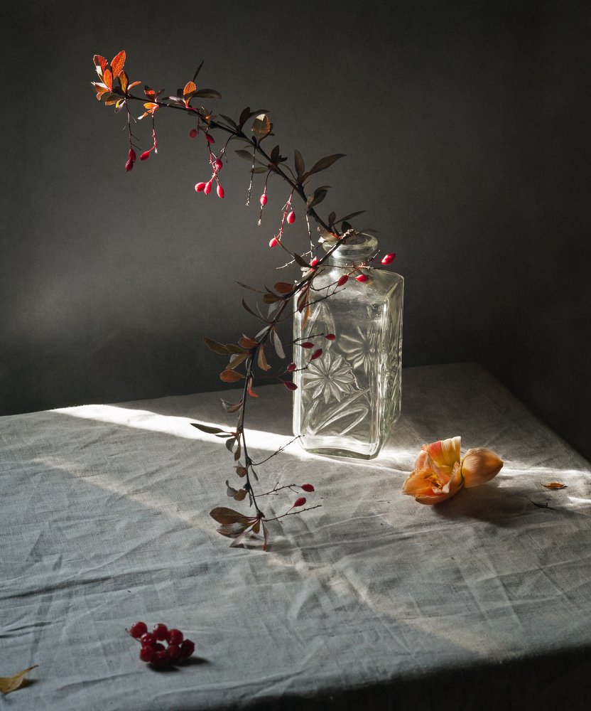 Фотография автора Елена Хазина