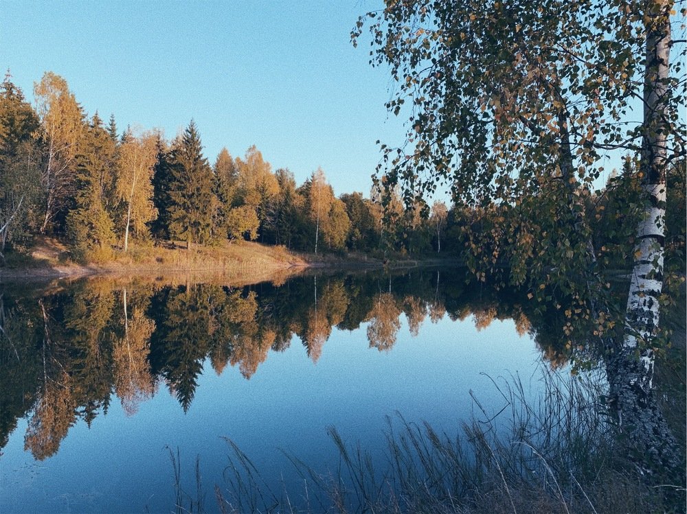 Photograph by Ольга Могдалёва