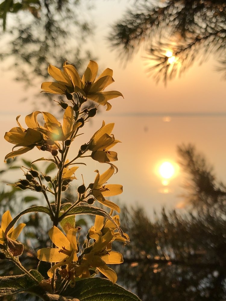 Photograph by Анатолий Андреев