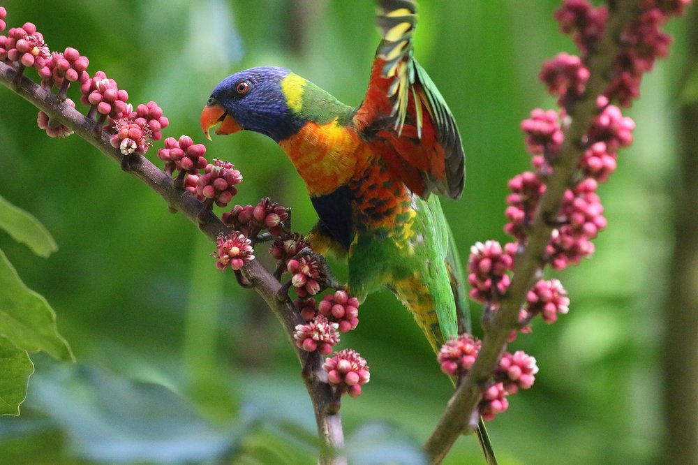 Все цвета радуги