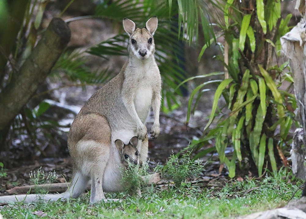 Мать и дитя