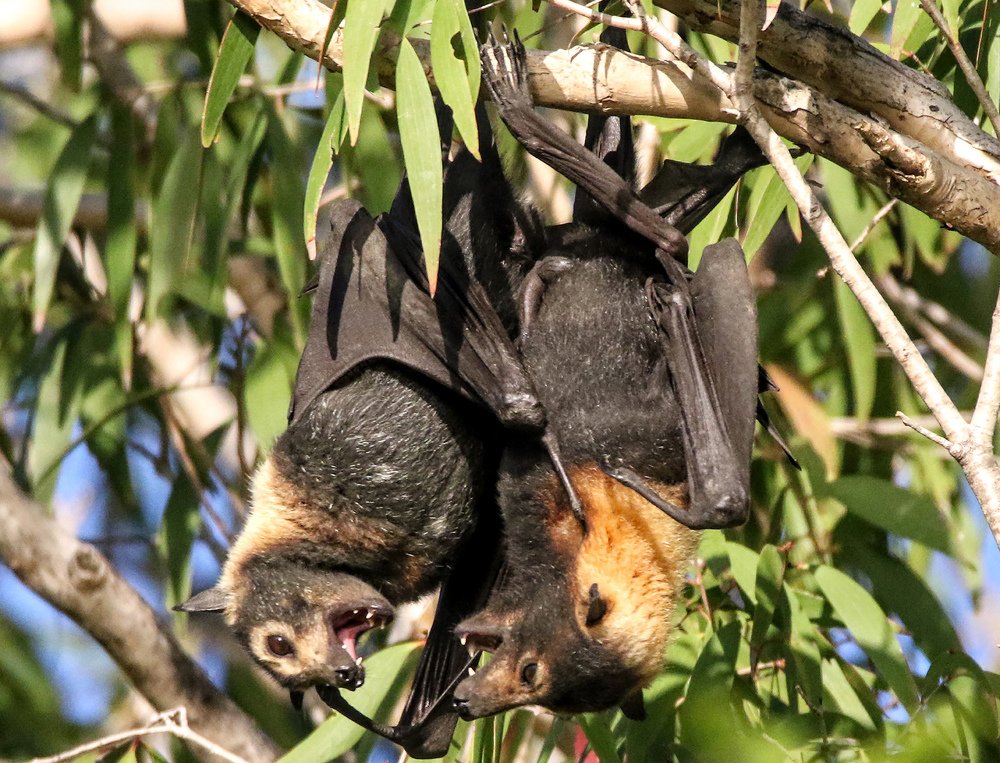 Агрессивные переговоры