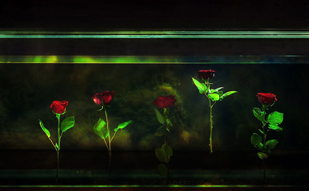 Photograph by Arman Zhenikeyev